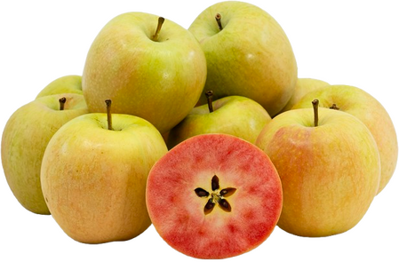 hiddenroseapples hiddenroseapples